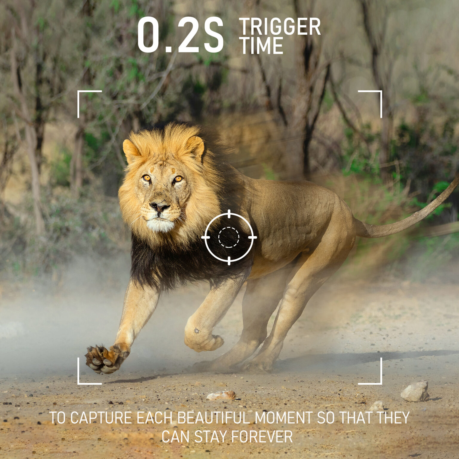 vikeri 4k 32mp trail camera