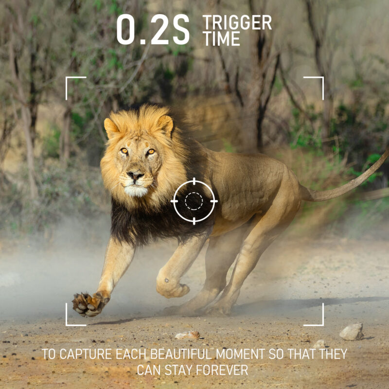 vikeri 4k 32mp trail camera