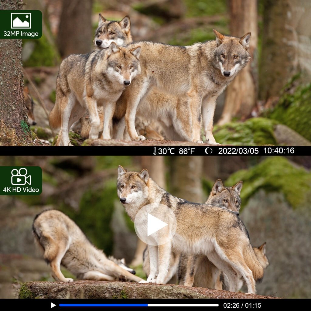 vikeri digital wildlife camera