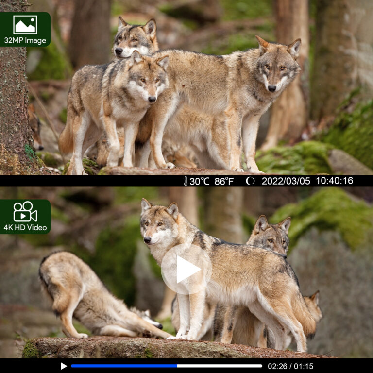 vikeri digital wildlife camera